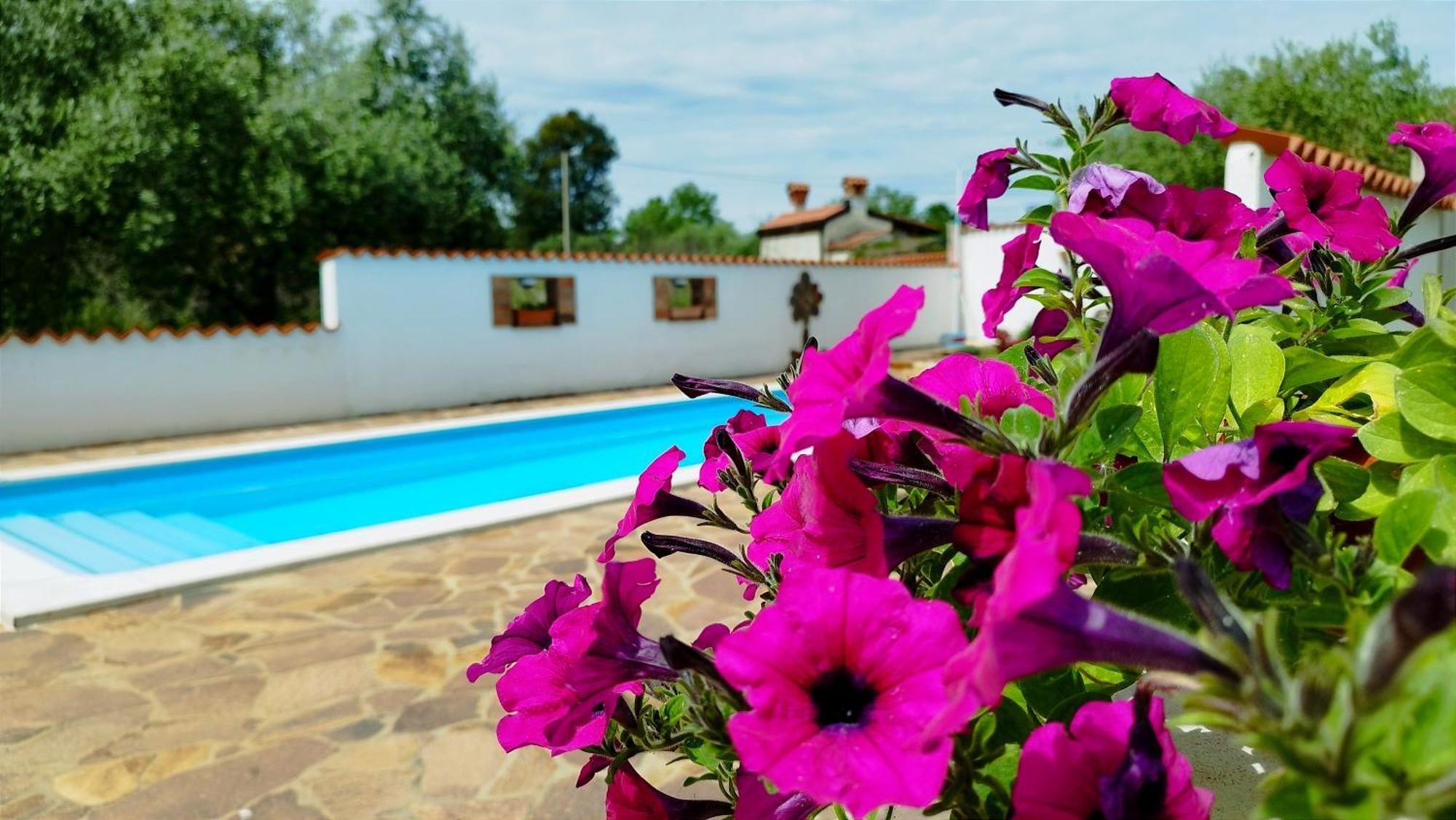 Villa "Pied-A-Terre" Residence & Spa Umag Dış mekan fotoğraf